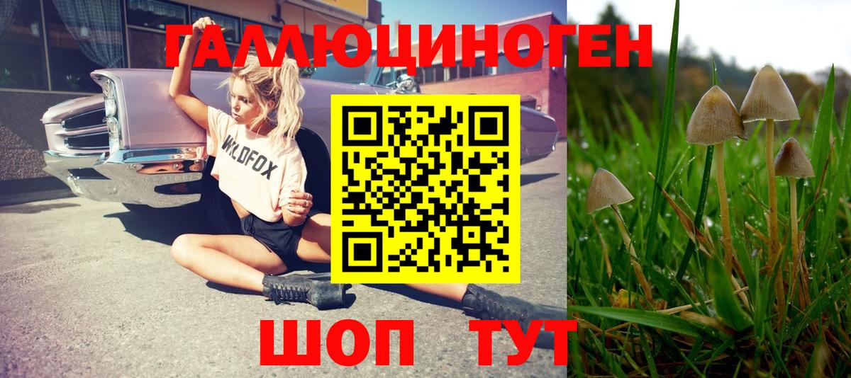 Галлюциногенные грибы Magic Shrooms Строитель