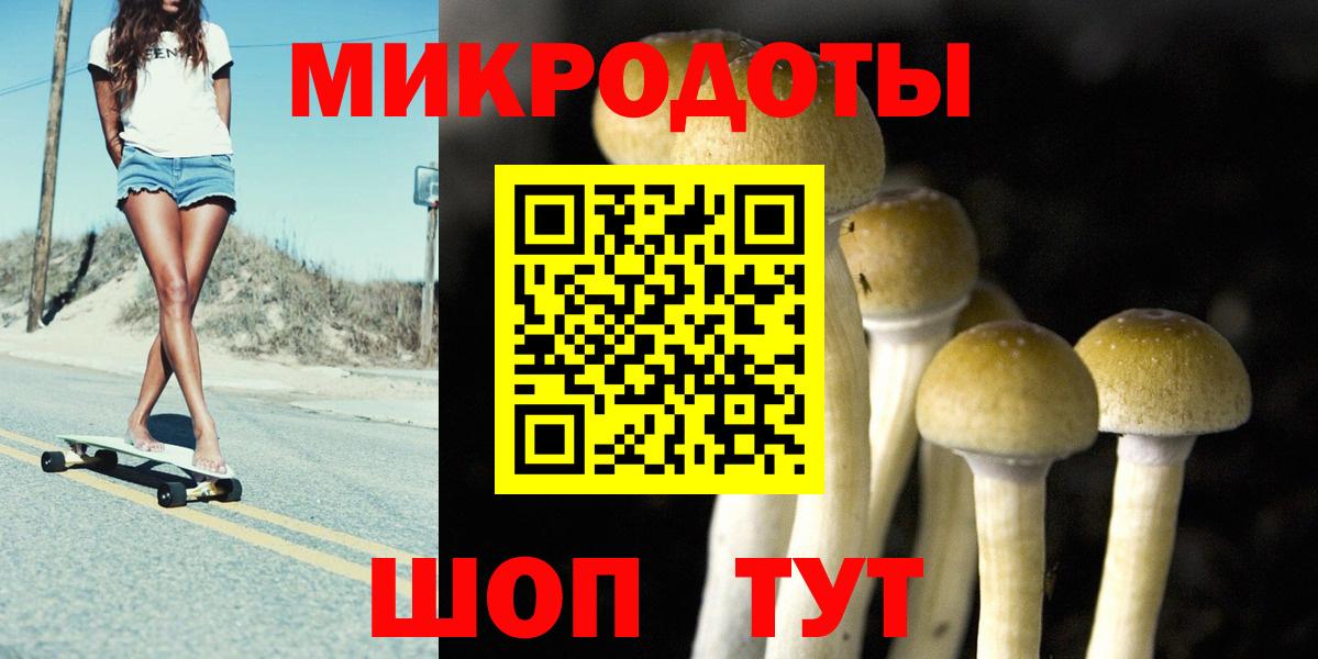 Галлюциногенные грибы MAGIC MUSHROOMS  Вход с VPN  Строитель 