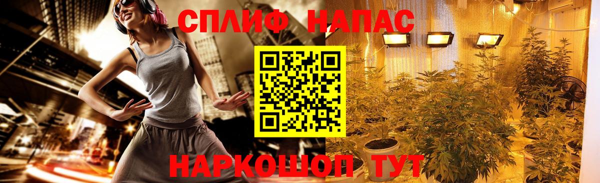 Канабис THC 21%  Конопля VHQ  МАРИХУАНА семена  Строитель  Вход с VPN 